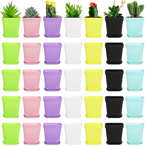 Hedume 70 Pack Mini Plastic Flower Seedling Nursery Pot...