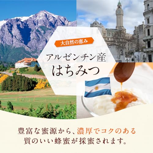 熊手のはちみつ アルゼンチン産 はちみつ 純粋蜂蜜 (ポリ 2kg 大容量) の商品画像 1