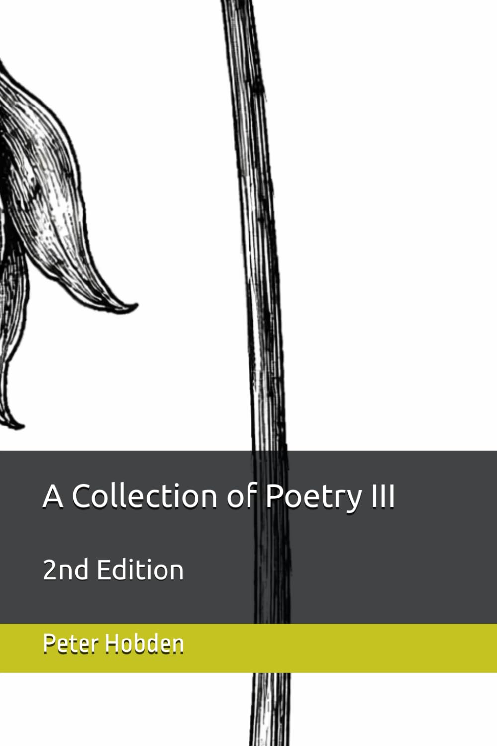 A Collection of Poetry III: 2nd Edition