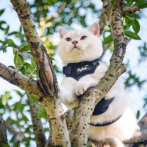 Pupteck Cat Harness And Leash Set Escape Proof For Walking, Breathable Mash Vest Adjustable Harness For Cats Puppy Small Animals, Reflective At Night, Black Medium #TOP6