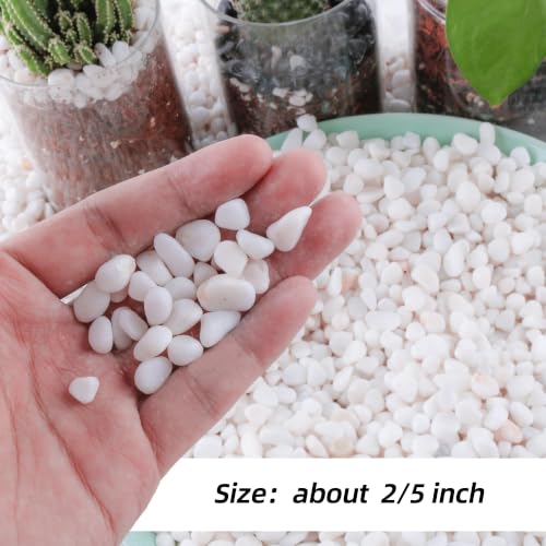 Image of CJGQ 1 /4 inch Small White Rocks for Plants,Potting,Succulents Aquarium Fish Tank Garden Vases Decorative Pebbles Gravel Rocks Stones 45lb