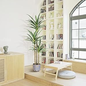 Artificial Tree 5.3Ft Faux Agave Plant with 3 Heads in Plastic Pot Fake Tree for Home Decor Indoor or Outdoor Office Decoration Housewarming Gift Artificial Tree 53Ft Faux Agave Plant with 3 Heads in Plastic Pot Fake Tree for Home Decor Indoor or Outdoor Office Decoration Housewarming Gift