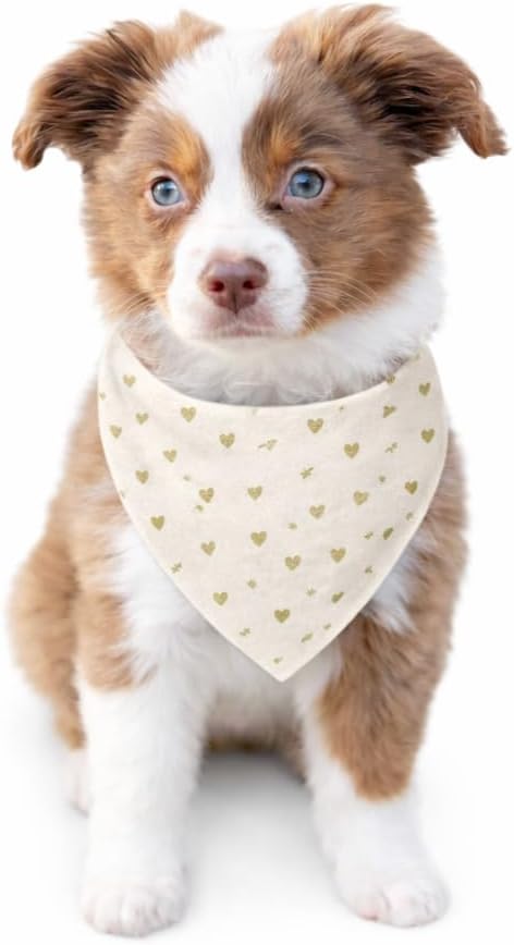 Valentine Dog Bandana 2-Pack – Neutral & Blush Heart Designs – Cute Pet Scarves for Small, Medium & Large Dogs