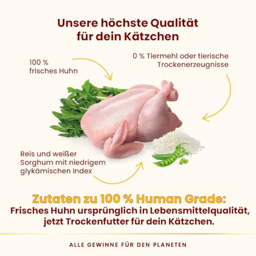 Almo Nature HFC Our Best - Kitten - Trockenfutter für Kätzchen - Frisches Huhn - Für ausgewogenes Wachstum, Lebensmittelqualität, Glutenfrei, Monoprotein - 300g