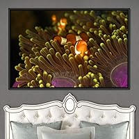 Framed Canvas Wall Art Deep Under Group Jellyfish Marine Life Multicolor Photography Realism Tropical Ultra Whimsical - 16x24 inches