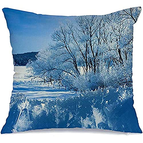 Housse Oreiller Givre Cristal Jour Neige Givré Gelé Couvert Température Hiver Harmonie Froid Paysage Nature Enneigé Taie D’Oreiller Luxe Taie Oreiller pour Maison 45X45 Cm