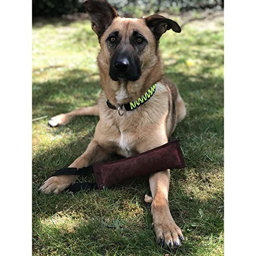 Sprenger Hundehalsband aus stabilem Paracord Nylon mit Edelstahl Clic Lock Verschluss I Wasserabweisende Halskette, reflektierend, langlebig 45 cm, gelb