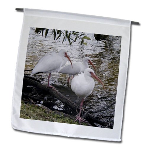 3dRose Gartenflagge 'Great Ibis', 30,5 X 45,7 Cm – Einseitig Bedruckt, Aus Polyester, Für Mast Oder Wand
