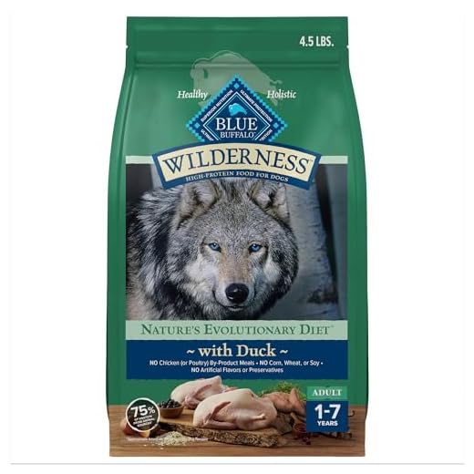 Blue Buffalo Wilderness Natural High-Protein Dry Food for Adult Dogs, with Wholesome Grains, Duck, 4.5-lb Bag