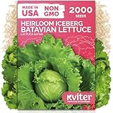 Types of Garden Lettuce: A Delicious Variety for Every Palate 5 51LVMAYLXIL. SL160