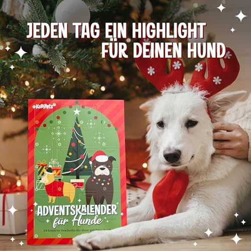 Für Ihren Hund Nur Das Beste - 8 Echte Fleischleckereien im Adventskalender – Glutenfrei & Weizenfrei – Nur Dieses Jahr Erhältlich, Lamm, Huhn, Lachs, Fisch, Kodipets