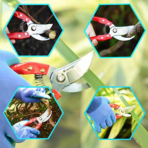 Kynup 3Packs Garden Shears, Garden Tools for Shears Pruner Stainless Steel Blades Handheld Pruners Set with Gardening Gloves
