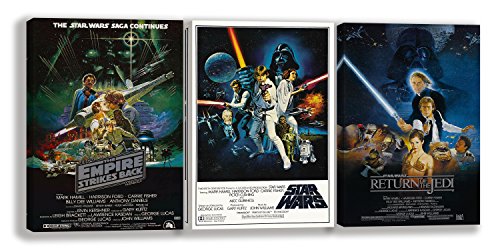 RuidoRosa Juego de 3 Cuadros de la trilogía Original de Star Wars (60x40)