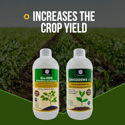 Image of OrganicDews Bio NPK consortia (5x10^8 CFU /ml) 1 Litre + Zinc Solublizing Bacteria (2x10^8 CFU /ml) 1 Litre COMBO Bio Inoculum Fertilizer for Plants - Soil Fertility, Plant Growth & Increases the Yield