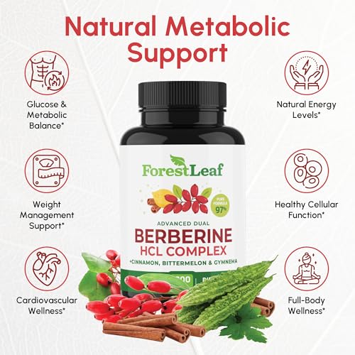 Berberine Supplement 1300mg per Serving- 97% Tested Ultra High Potency Berberine HCl with Ceylon Cinnamon, Bitter Melon & Gymnema, 10:1 Extract Berberis Supplements, Weight Management, 90 Veggie Caps - Image 4