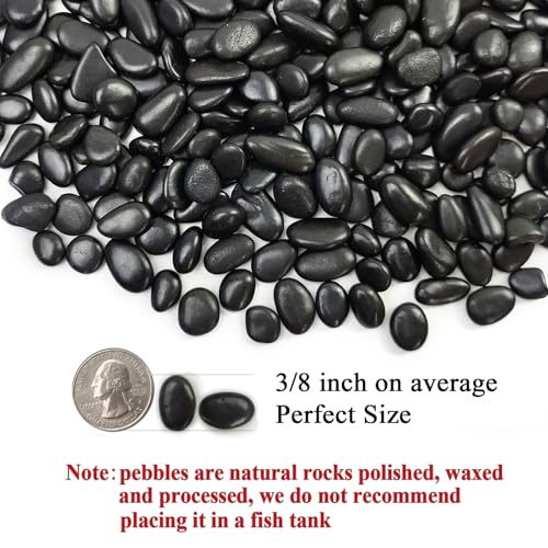 Image of FANTIAN 5 lbs Pebbles for Indoor Plants. 3 /8 inch Small Black Stones, Decorative Black River Rocks for Plant Outdoor, Vase, Landscaping and Garden