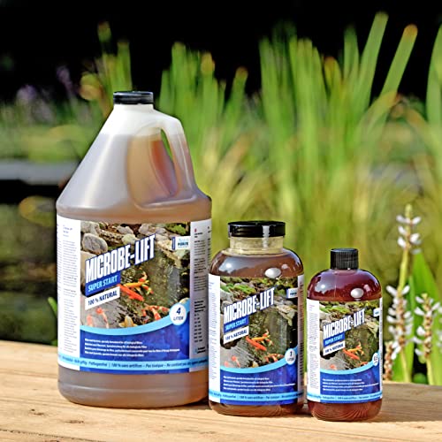Bactéries de filtration pour démarrage rapide filtre à billes Aquaforte 1L - 7