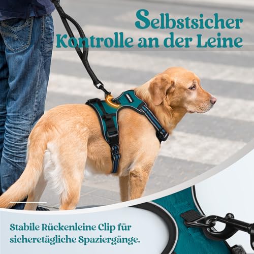 rabbitgoo Hundegeschirr Mittelgroße Hunde, Anti Zug Geschirr mit Kontrolle, No Pull Verstellbar Hundegeschirr Grosse Hunde, Atmungsaktiv Reflexstreifen Brustgeschirr Sichere Führung Dunkelgrün M