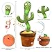 Cactus Bailarin, Cactus Bailarin Repite español Imagen de Cactus Bailarin, Cactus Bailarin Repite español