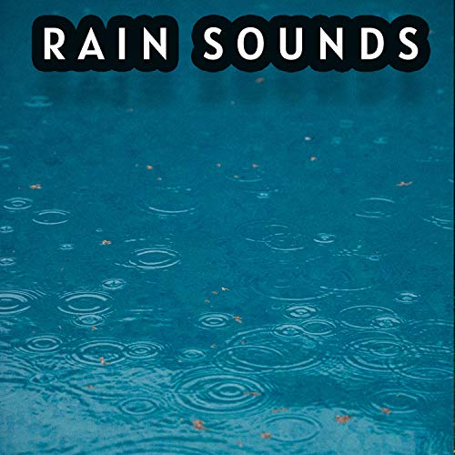 All in One Mesmerizing Rain Sound Collection Nature