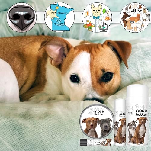 Image of The Blissful Dog American Staffordshire Terrier Nose Butter, Versatile Dog Nose Balm for Dry Nose, Handcrafted Nose Moisturizer, Easy-to-Apply Dog Essentials, Unscented, 2 oz.