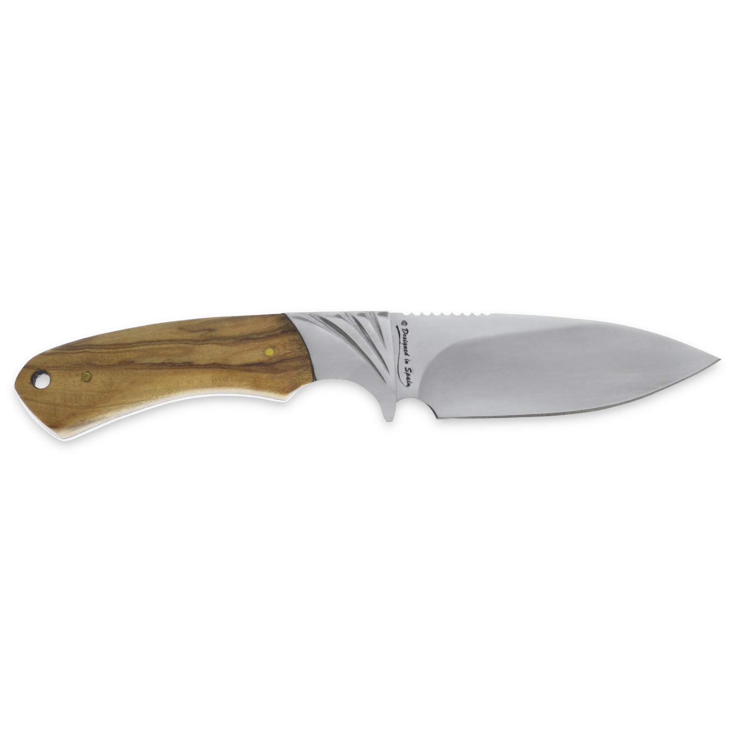 iFIELD Cuchillo de caza deportivo Camper EL29018, mango de olivo, hoja de 10,8 cm, acabado pulido, virola de acero, funda de piel marrón, herramienta de camping para pesca, caza, actividad deportiva
