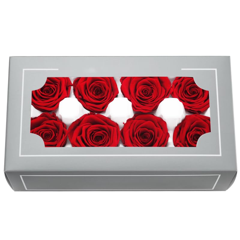 DorphyRoses 8 Stück Premium Rosenblüten (4-5 cm) Natürliche Echte Rosen - Für Home Deko Hochzeit Feier & DIY Basteln - 2-3 Jahre Haltbar (Red)