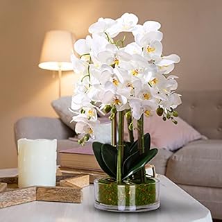 Qucover Artificial White Orchid Butterfly Flower in Vase Real Touch Fake Phalaenopsis Silk Bouquet Bonsai for Home Wedding Party Decoration Mothers Day Flowers