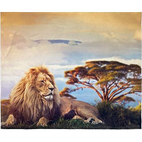 INTIMO Lion King Plush Fleece Throw Blanket Cover
