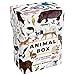 Animal Box: 100 Postcards by 10 Artists (100 postcards of cats, dogs, hens, foxes, lions, tigers and other creatures, 100 designs in a keepsake box)