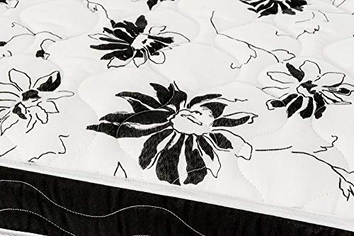 Conjug Union Ortopedic (108x188x43)