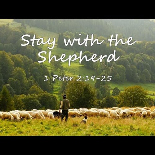 Stay With the Shepherd - 4/26/2026 - Pastor Kyle Weeks
