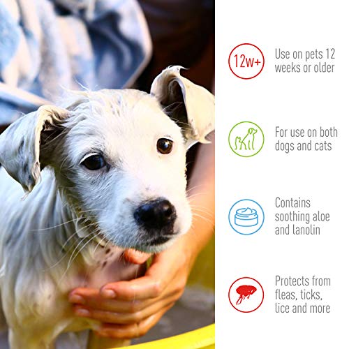 Adams Plus Pyrethrin Dip For Dogs and Cats Kills and Repels Fleas, Ticks, Lice, Gnats