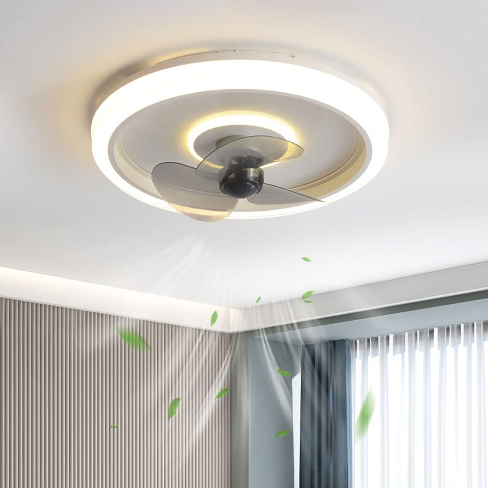 HXYSXHJUO Indoor Mute Fan Light Modern 6 Speed Ceiling Living Room Bedroom Lights Lighting 86W LED Dimmable With Low Profile