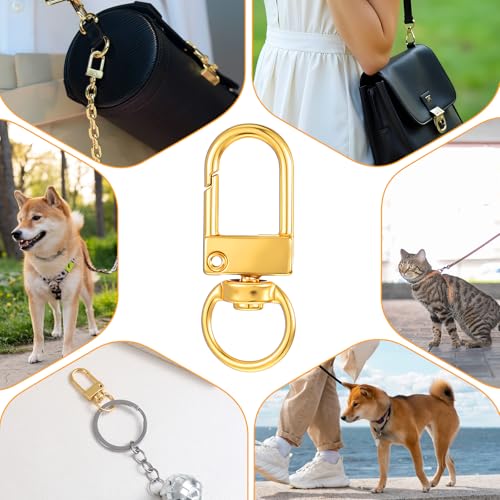 Prasacco 60 Stück Karabinerverschluss, Kleiner Goldener Karabiner Schlüsselanhänger Metall Karabiner Schlüsselring mit Drehgelenk für Schlüssel, Rucksäcke, Handtaschen, Gürtel, Haustier, Kunsthandwerk