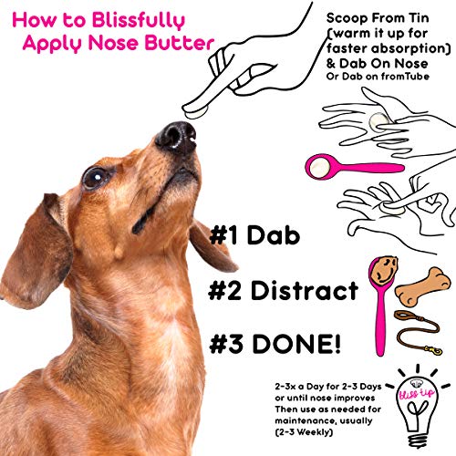 Image of The Blissful Dog Dachshund Nose Butter, 0.15-Ounce