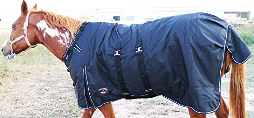 Image of Challenger 1200D Turnout Waterproof Horse Heavy Winter Blanket w /Bellyband Black 551B