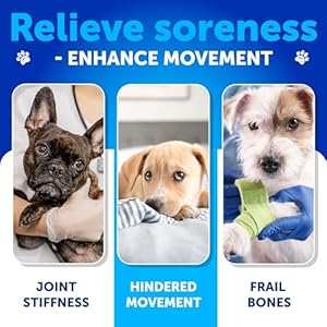 Glucosamine for Dogs – Hip and Joint Supplement for Dogs – 180 Chews – Glucosamine Chondroitin For Dogs, Turmeric, MSM – Dog Glucosamine Support – Dog Joint Pain Relief Health – Mobility Treats