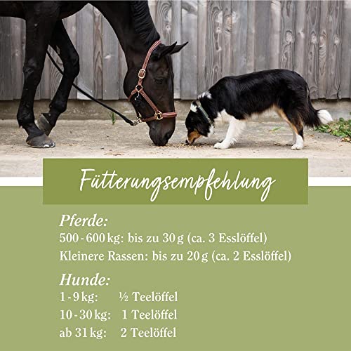 tierlieb Sanct Bernhard Ginkgo-Pulver für Hunde & Pferde | Einzelfuttermittel für Körper & Geist | Geprüfte Premiumqualität | 400g
