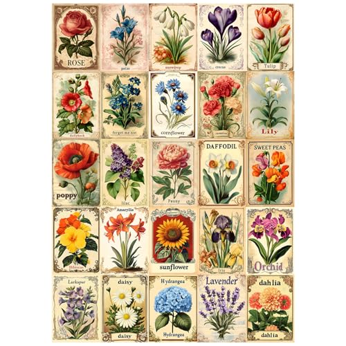 Rompecabezas Floral Vintage Plantas 14+ Anos