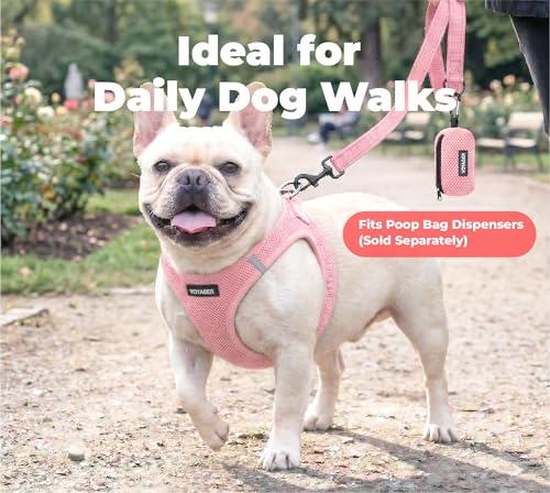 Image of Best Pet Supplies Voyager Reflective Dog Leash or Collar with Neoprene Handle, for Small, Medium, and Large Breed Puppies, Cute and Heavy Duty for Walking, Running and Training - Pink (Leash), S