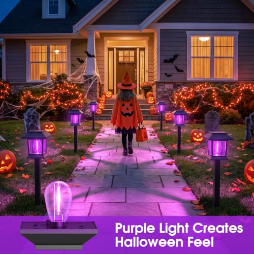 Image of Greluna Solar Lights Outdoor,12 Pack Purple Waterproof Auto On /Off Solar Pathway Lights for Your Garden, Landscape, Path, Yard, Patio, Driveway,Walkway Halloween Decor