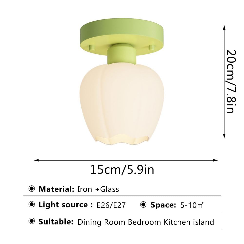 Genérico Lámpara de Techo Moderna de Estilo Nórdico con Forma de Flor LED Regulable - Elegante Luminaria Empotrada para Pasillos Y Dormitorios