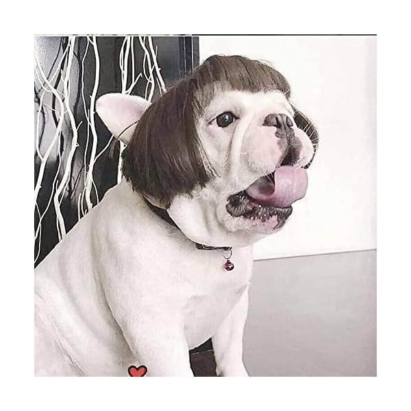 Funny dog cat cosplay wig, pet wigs, for halloween, christmas, parties, festivals, dog wigs for small medium and large dogs - image 3