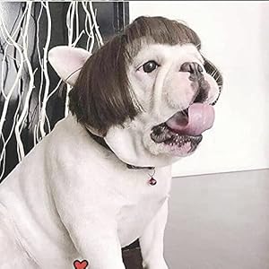 Funny-Dog-Cat-Cosplay-WigPet-Wigs-for-Halloween-Christmas-Parties-Festivals-Dog-Wigs-for-Small-Medium-and-Large-Dogs-Black-Brown-Straight - Cucciolini Doodles   Funny-Dog-Cat-Cosplay-WigPet-Wigs-for-Halloween-Christmas-Parties-Festivals-Dog-Wigs-for-Small-Medium-and-Large-Dogs-Black-Brown-Straight