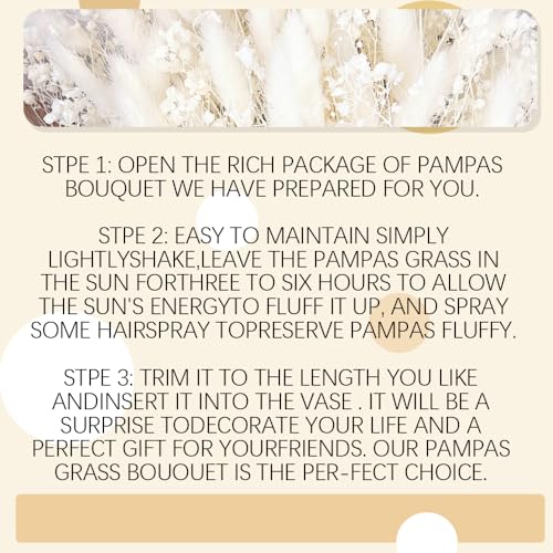 Ramo de Flores Secas Bunny Tails con Pampas y Neblina miniatura 7