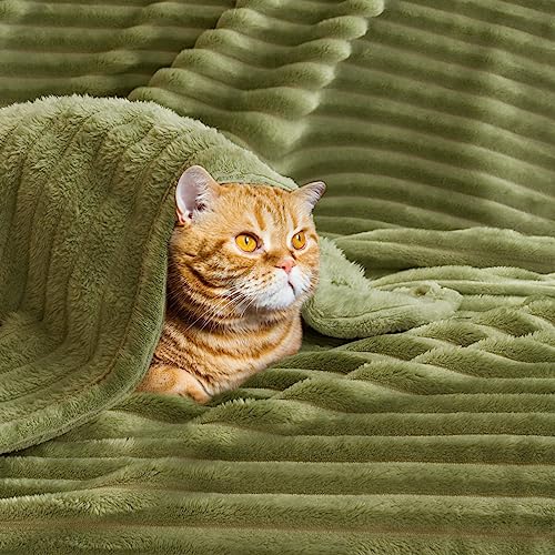 MIULEE Flannel Fleece Throw Blankets Soft Warm Comfortable Throws for Sofa Corduroy Fluffy Blanket Bed Throw for Bedroom Couch Travel Kids Bedroom Accessories 60x80Inch Green - Image 4