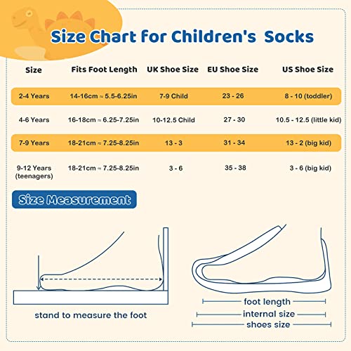 Chung Boys 5 Pack Cotton Low Cut Socks Star Dinosaur Stripe Print, 2022 5Dino，2-4Y #TOP7