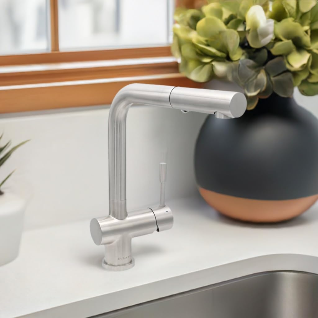 Lulani Nassau Stainless Steel Pull-Out Kitchen Faucet (2 Function Spray Head) - Brushed Stainless