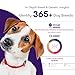 ORIVET Genopet Dog DNA Test | Dog Breed Test Kit, Genetic Testing, Heritable Health Risks & Personalized Life Plan